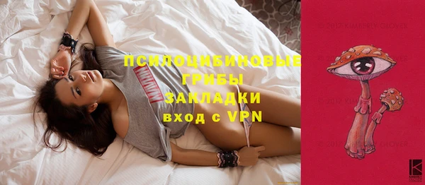 меф Карпинск