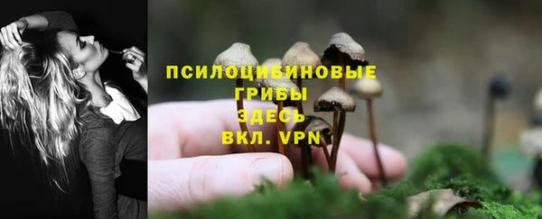 первитин Киреевск