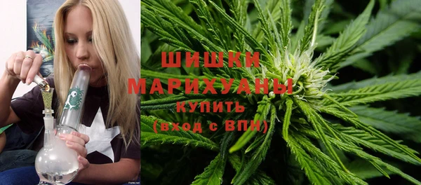 шишки Кинешма