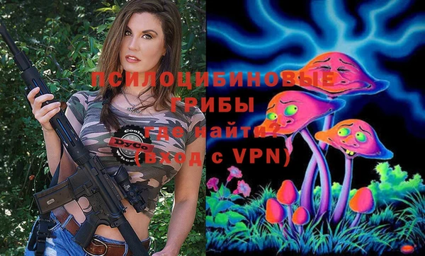 шишки Кинешма