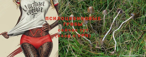 первитин Киреевск