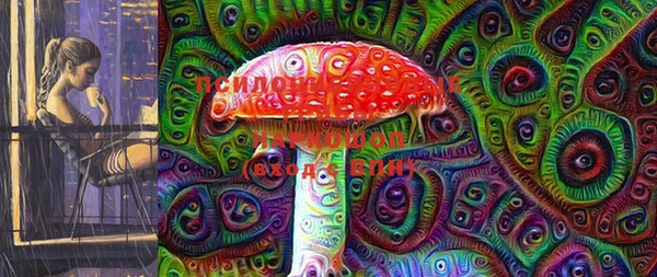 шишки Кинешма
