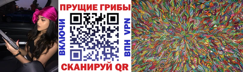 omg ТОР  дарнет шоп  Кстово  Галлюциногенные грибы мухоморы 